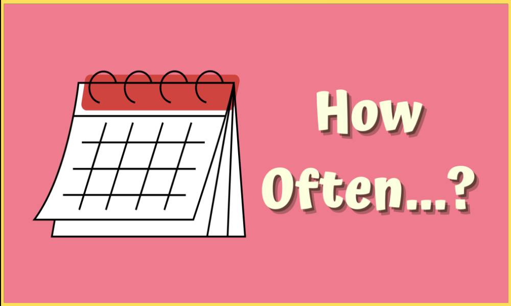 How often? (present simple + frequency)