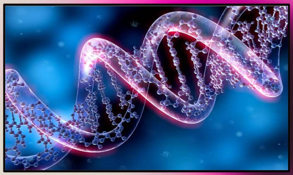 DNA and genetic mutations