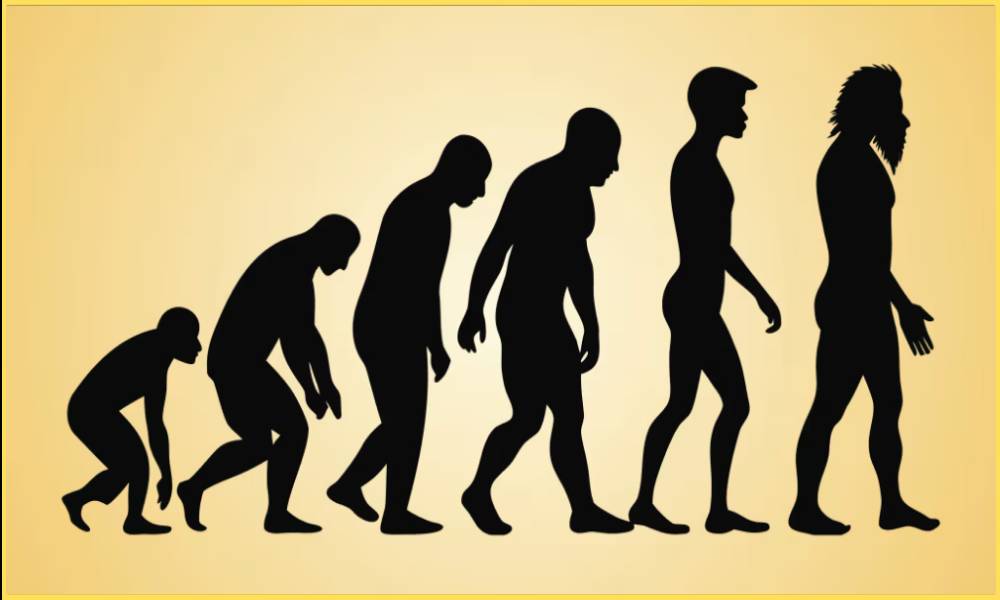 Key mutations in human history