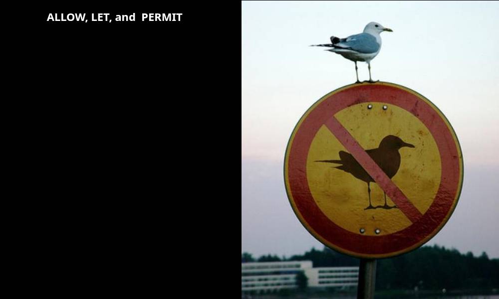 Vs - 26 - Allow, Let, and Permit