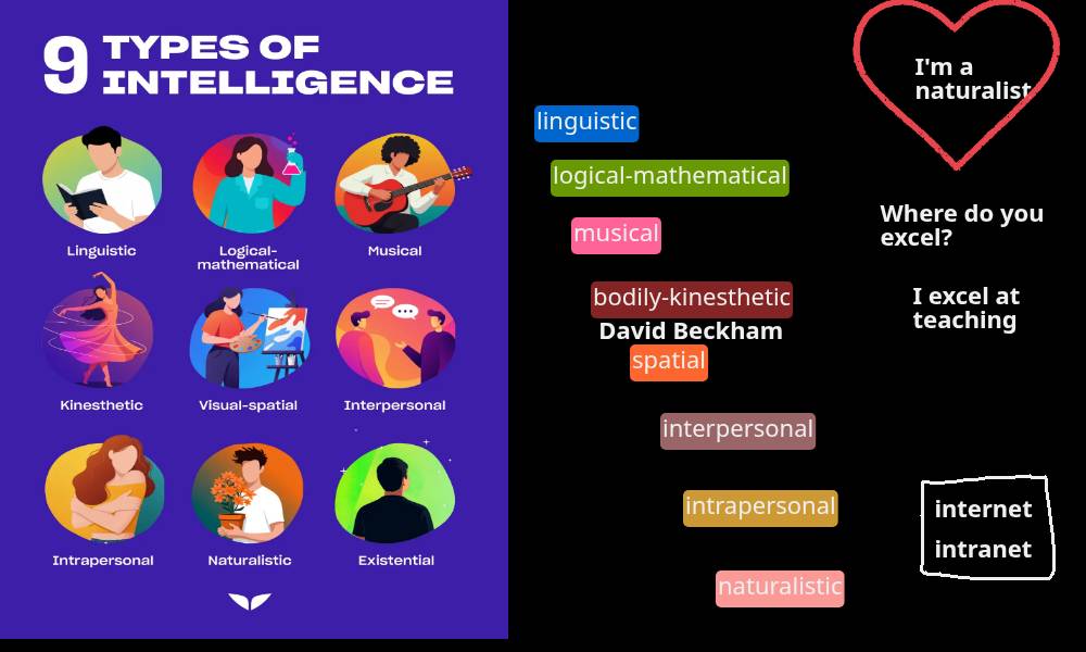 Intelligence Types